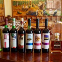 サマルカンド　ワイナリー　試飲　テイスティング　10種　ワイン工場