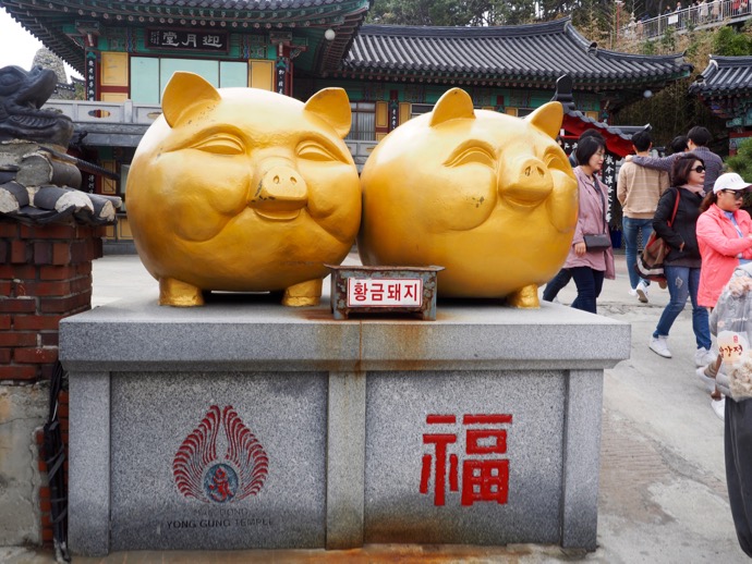海東竜宮寺の黄金の豚
