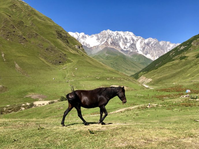 シュハラ山と黒い馬