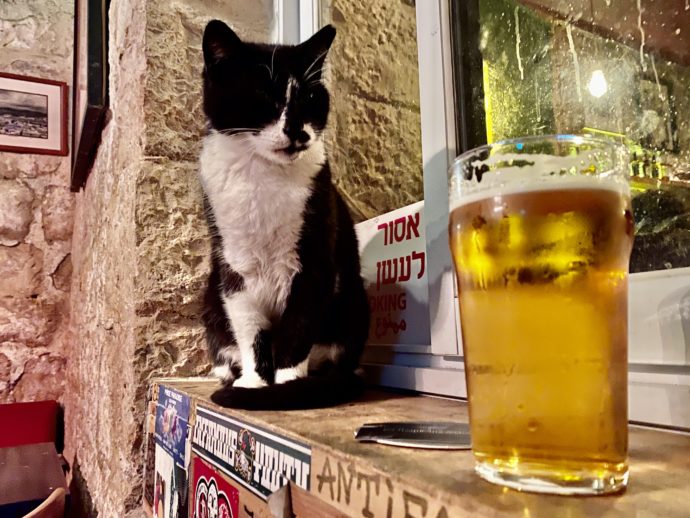 イスラエルのビールと看板猫