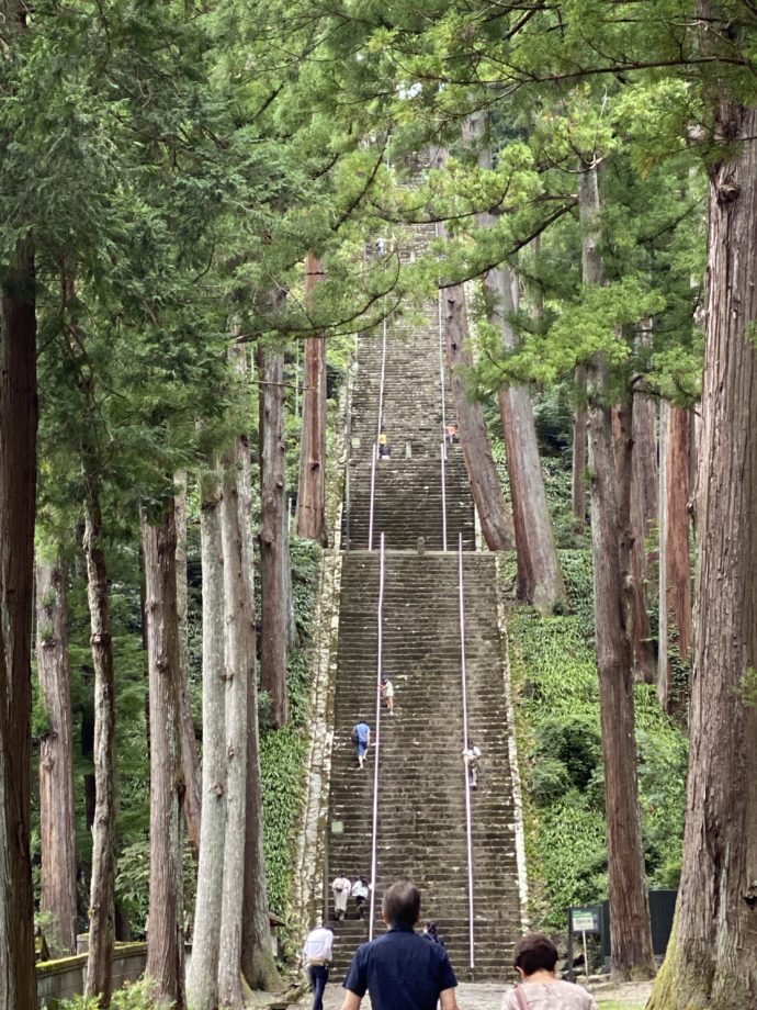 百寺巡礼 第49番 久遠寺 日蓮宗の総本山で涅槃への階段を上る Olコムギの週末弾丸旅ブログ