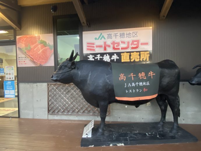 高千穂ミートセンターの牛