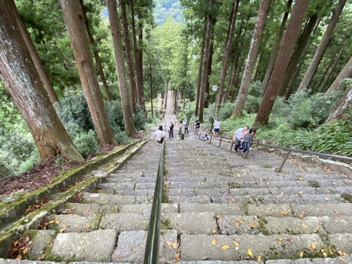 久遠寺の石段「菩提梯」
