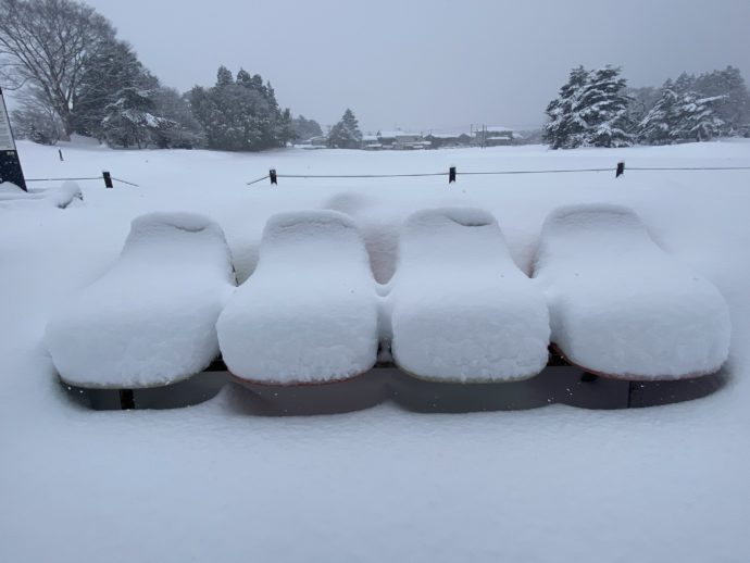 大雪の無量光院跡のベンチ