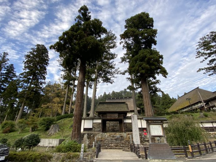 正法寺門と立派な杉の木