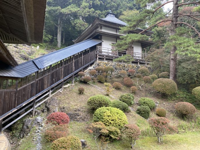 正法寺のよく手入れされた植木