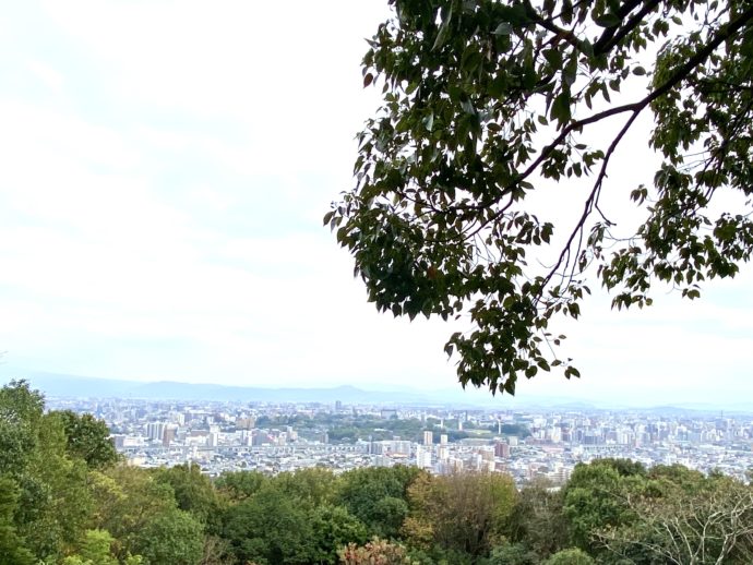本妙寺展望スポットから見える熊本市