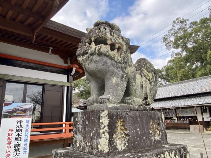 本妙寺の狛犬