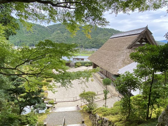 豪徳寺のお庭と屋根
