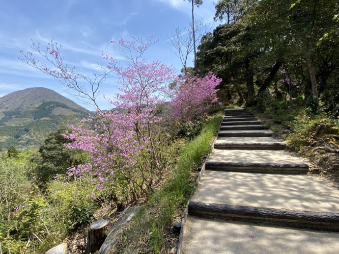 津和野城跡の階段