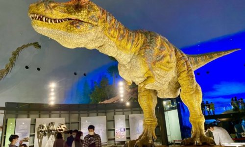福井県立恐竜博物館の恐竜