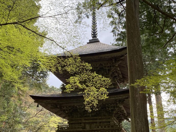 横蔵寺の三重塔