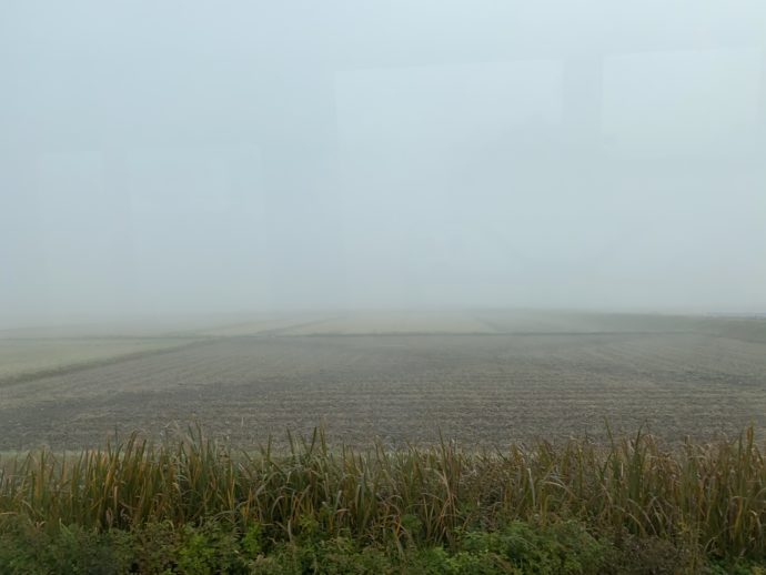霧のかかる田んぼ