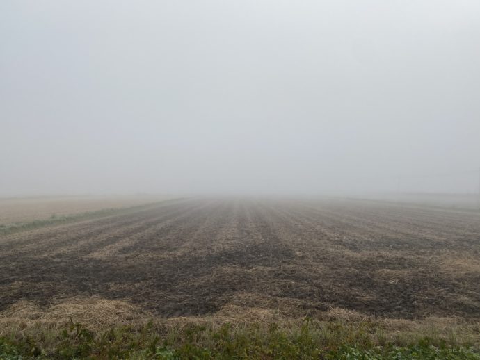 霧の中の田畑