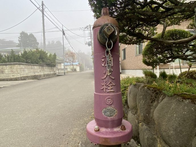 ピンクの消火栓