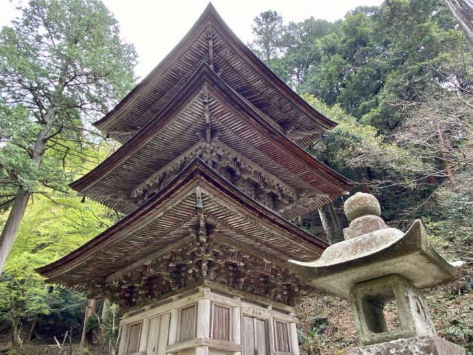 横蔵寺の三重塔を見上げる