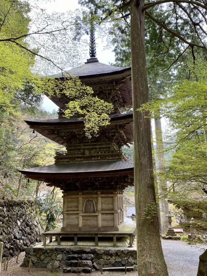 横蔵寺の三重塔