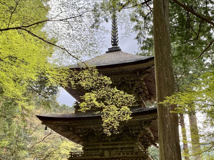 横蔵寺の三重塔