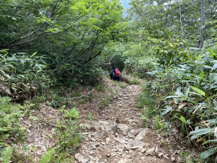 谷川岳 魔の山 の初心者コースを登る 天神尾根ルート Olコムギの週末弾丸旅ブログ