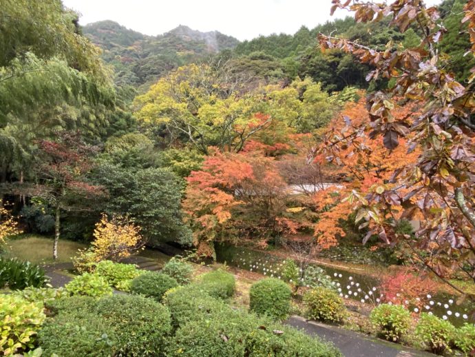 鍋島藩窯公園の紅葉