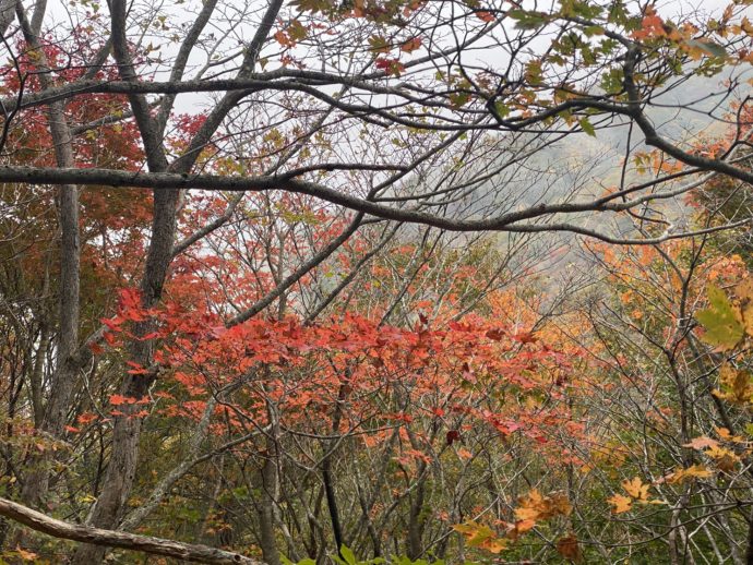 磐梯山の紅葉