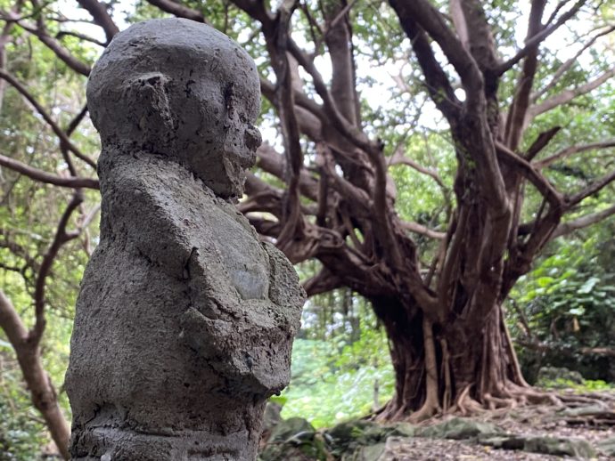 仏像と大きなガジュマルの木
