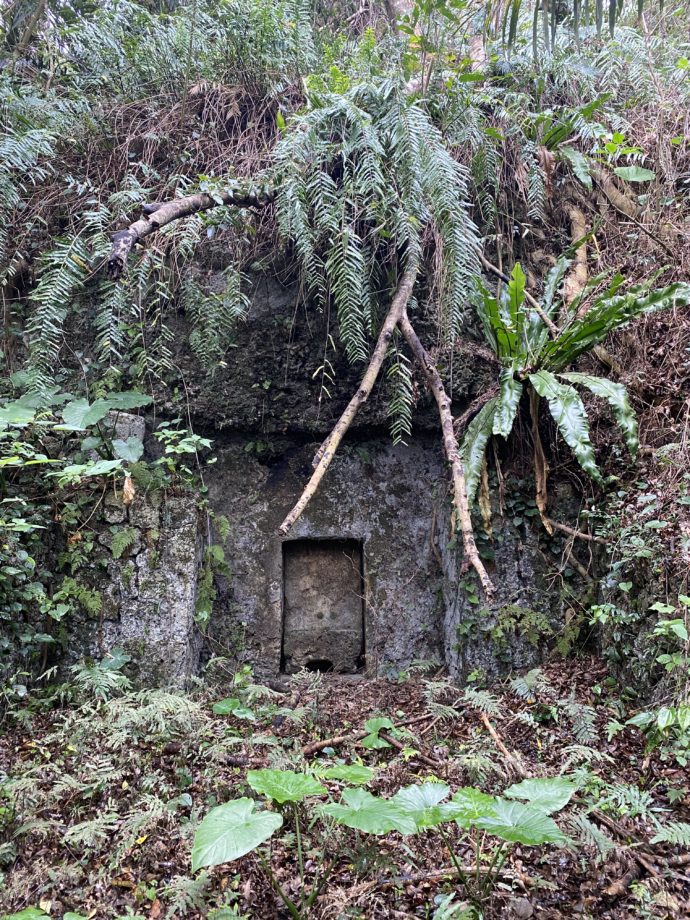 密林の中の尚巴志の墓