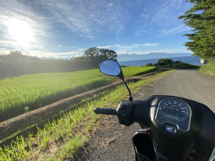 田んぼ沿いを走るバイク