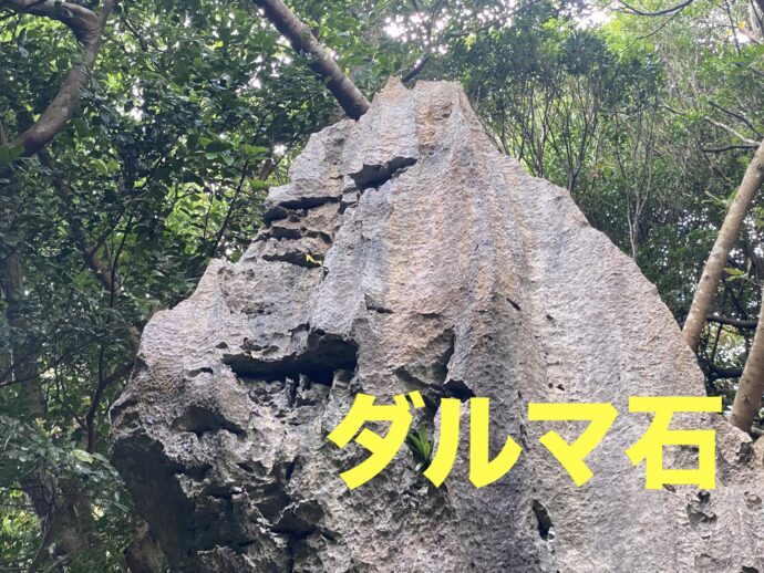 ダルマ岩