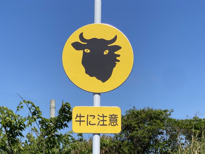 牛に注意の看板