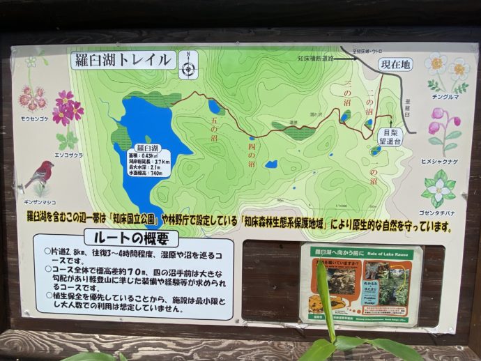 羅臼湖入口案内板の地図