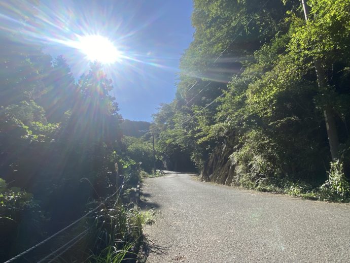 烏帽子岳展望所への登り坂