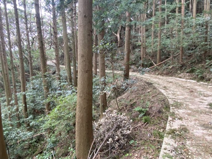 姫神山砲台跡への道