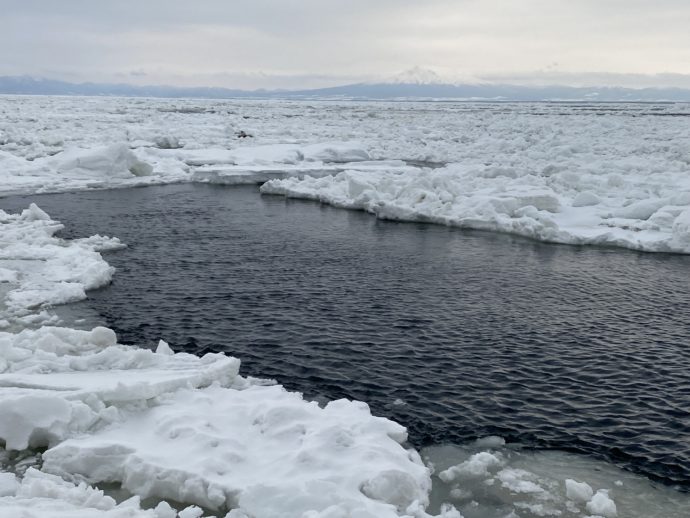 流氷の隙間の海