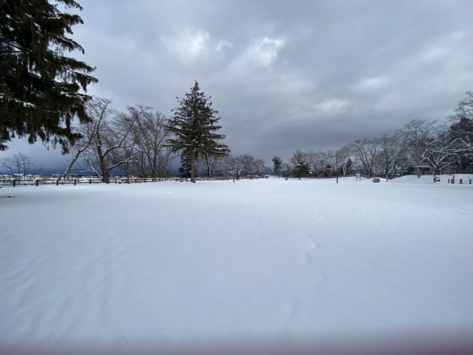 一面の雪景色