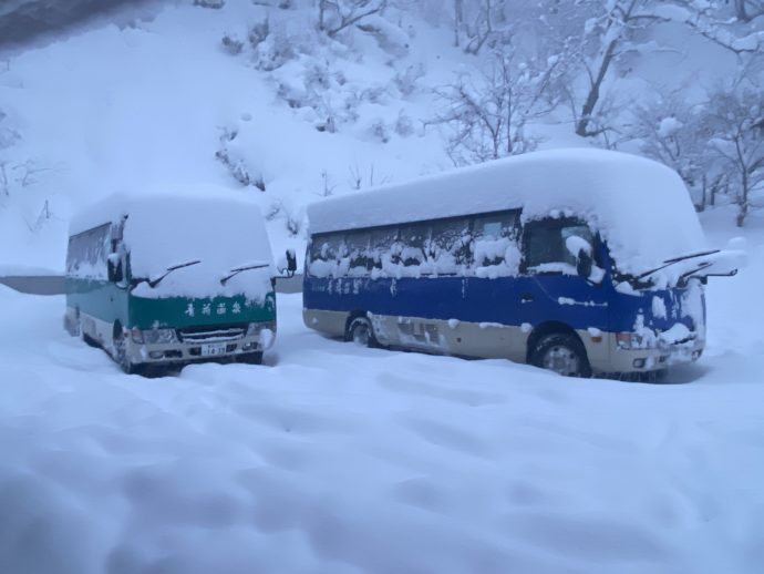 雪が積もった送迎バス