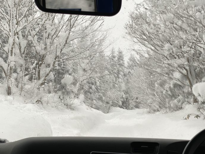 大雪の道