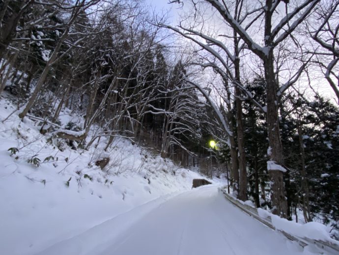 雪の道