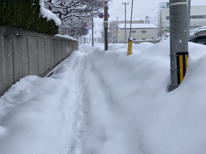 雪かきされた道