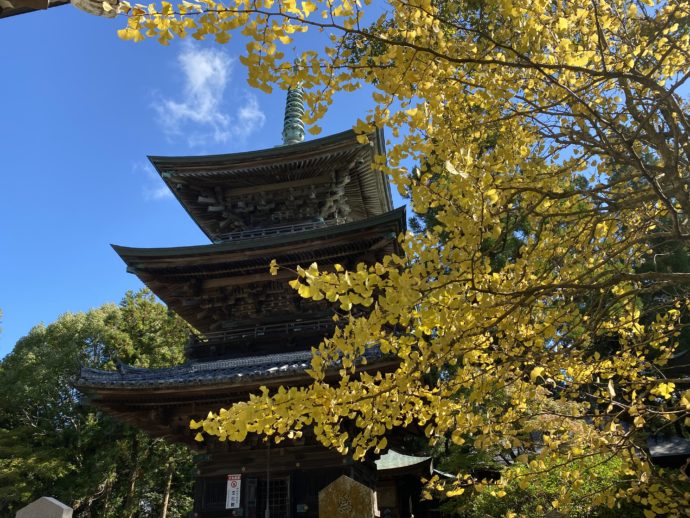 千光寺の三重塔とイチョウ