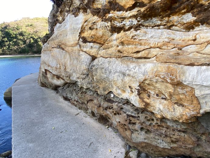島津島の生痕化石