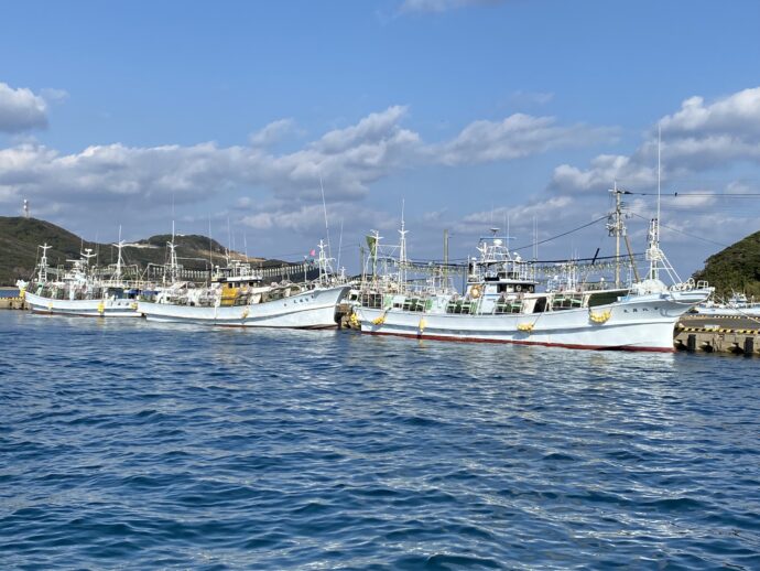 勝本港のイカ釣り船