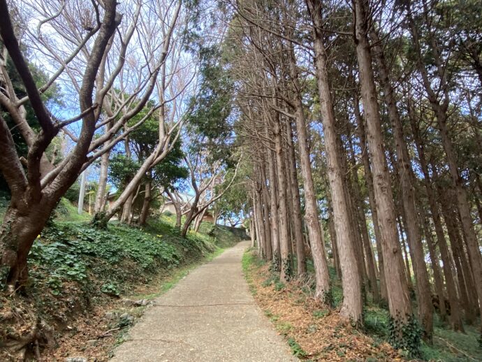 本宮八幡神社の参道