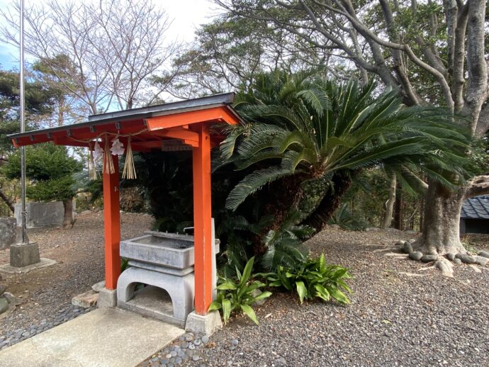 本宮八幡神社の手水舎とソテツ