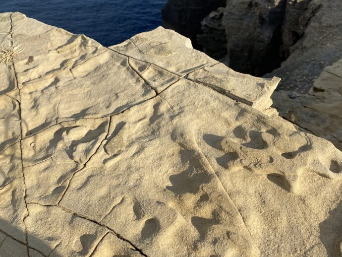 辰の島の海蝕岩
