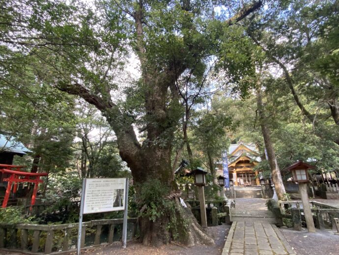 住吉神社の境内