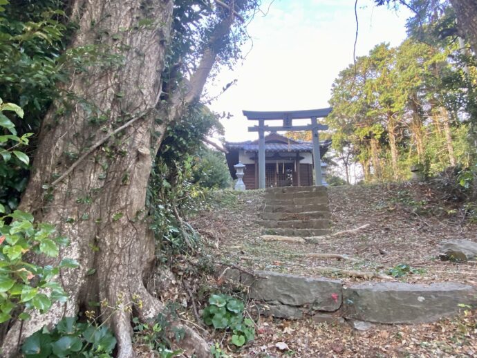 女嶽神社の山道