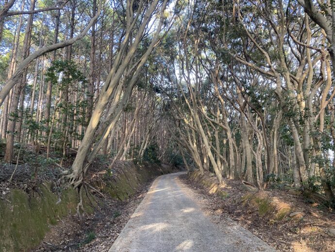 女嶽神社へ向かう林道