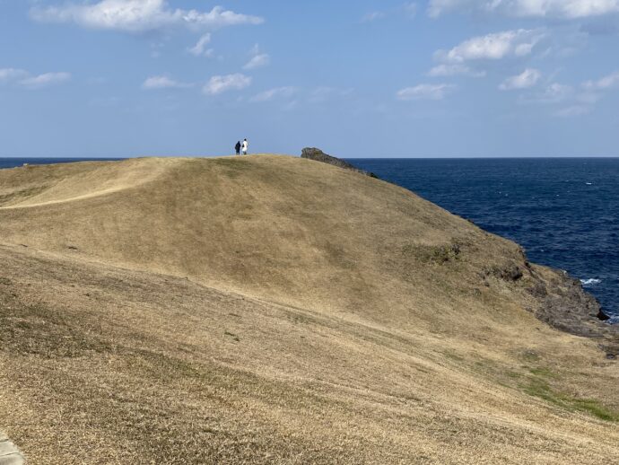 牧崎園地の草原