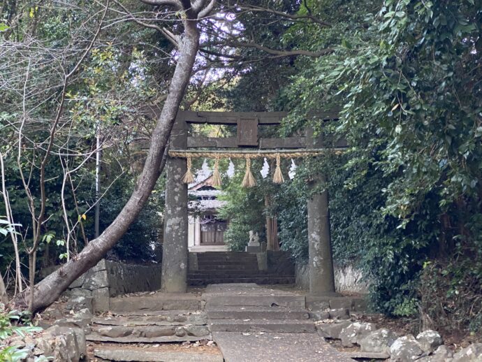 興神社の境内